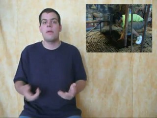 Fort Bavard, le journal du fort Boyard - épisode n°6 - 2008