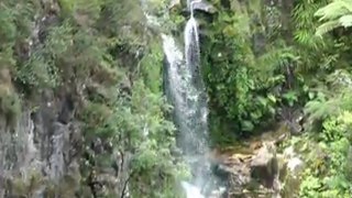 A.H.Reed Memorial Kauri Park - Nouvelle Zélande (HD)