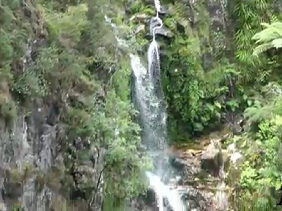 A.H.Reed Memorial Kauri Park - Nouvelle Zélande (HD)