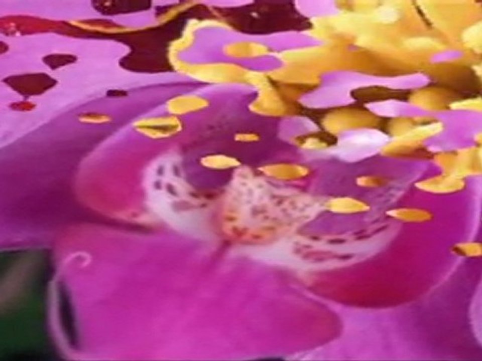 Dilek Taşı - Işın Karaca (Mustafa Dinç)