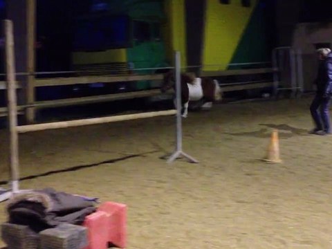 Arlequin premiers sauts en liberté 5