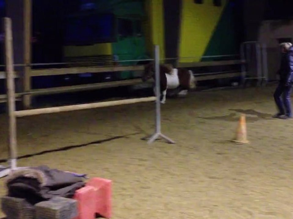 Arlequin premiers sauts en liberté 5