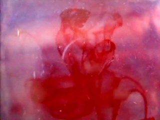 Brian Conniffe & Suzanne Walsh - A Shining Ache