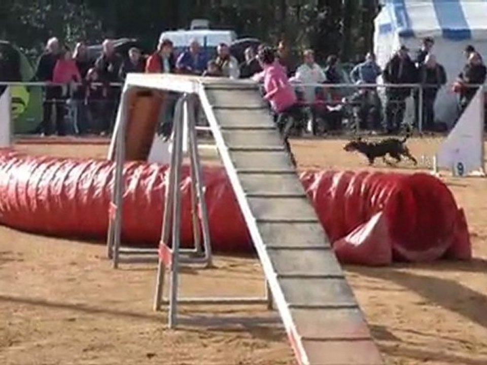 Eidi Cholet 2012