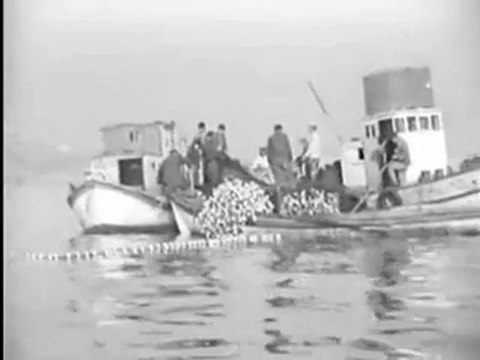 Müzeyyan Senar bu garip başıma 1965 istanbul hazırlayan serbülent öztürk