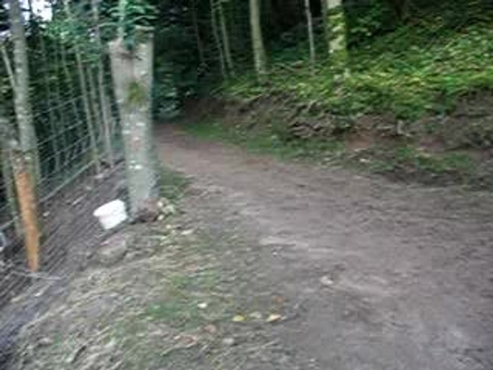 saut ballade