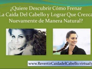 alopecia seborreica - alopecia cura