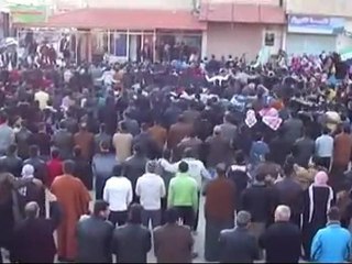 فري برس   حماه   طيبة الإمام   أحد عصيان دمشق 19 2 2012