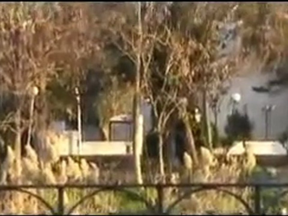 فري برس   حماة   مرور سيارات الزيل والشبيحة الى ساحة العاصي 19 2 2012