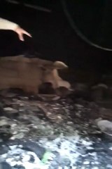 فري برس   حماة   اثار الدمار والحرق في حي الحميدية 16 2 2012