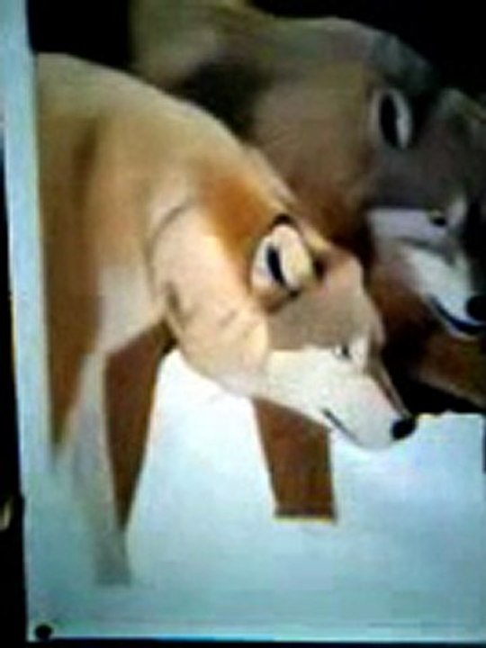 Together Four Wolf Oil Painting / Demonstrations Collage Students / Prt 1