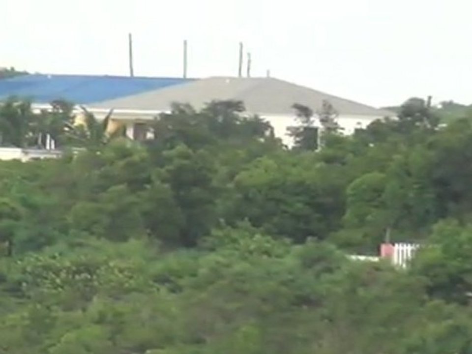 Caribbean fever at  Turtle Nest Hotel in Anguilla, British West Indies