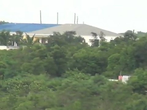 Caribbean fever at Turtle Nest Hotel in Anguilla, British West Indies