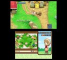 Working Harvest Moon The Tale of Two Towns NDS Rom Download 2012