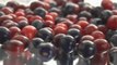 Health Benefits of Acai– Best Acai Products are from MonaVie