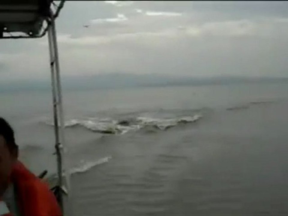 Course poursuite entre deux hippopotames et un bateau de touristes