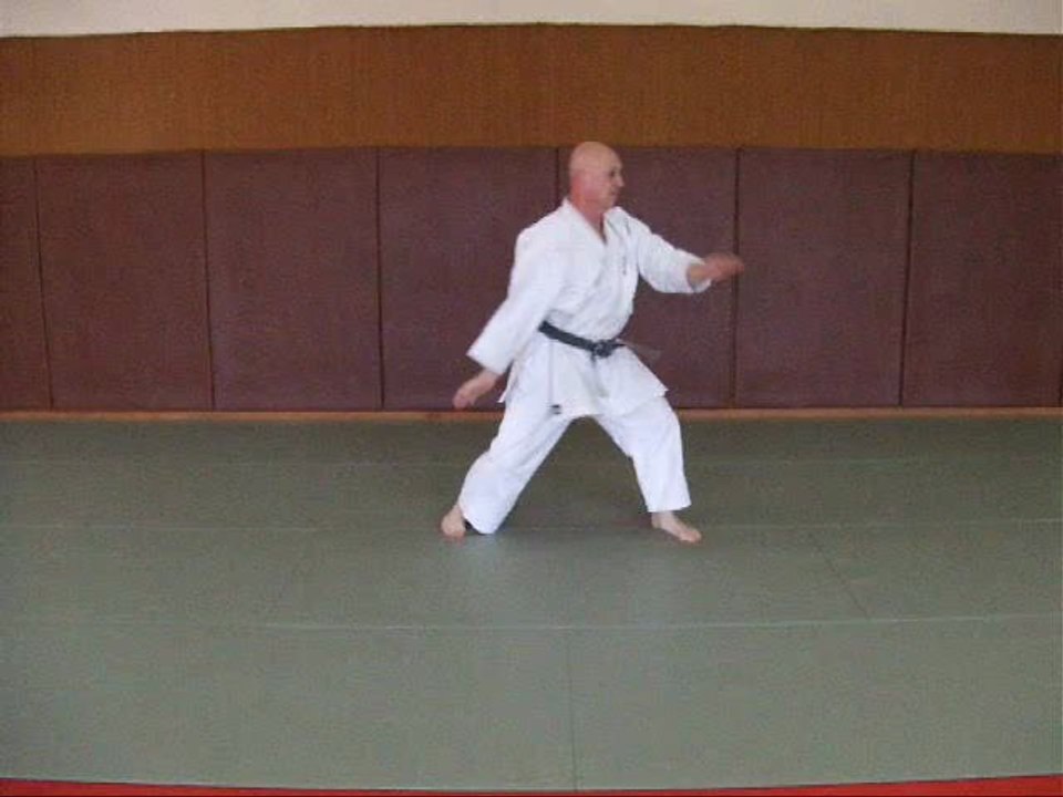 Niju shi ho ralenti