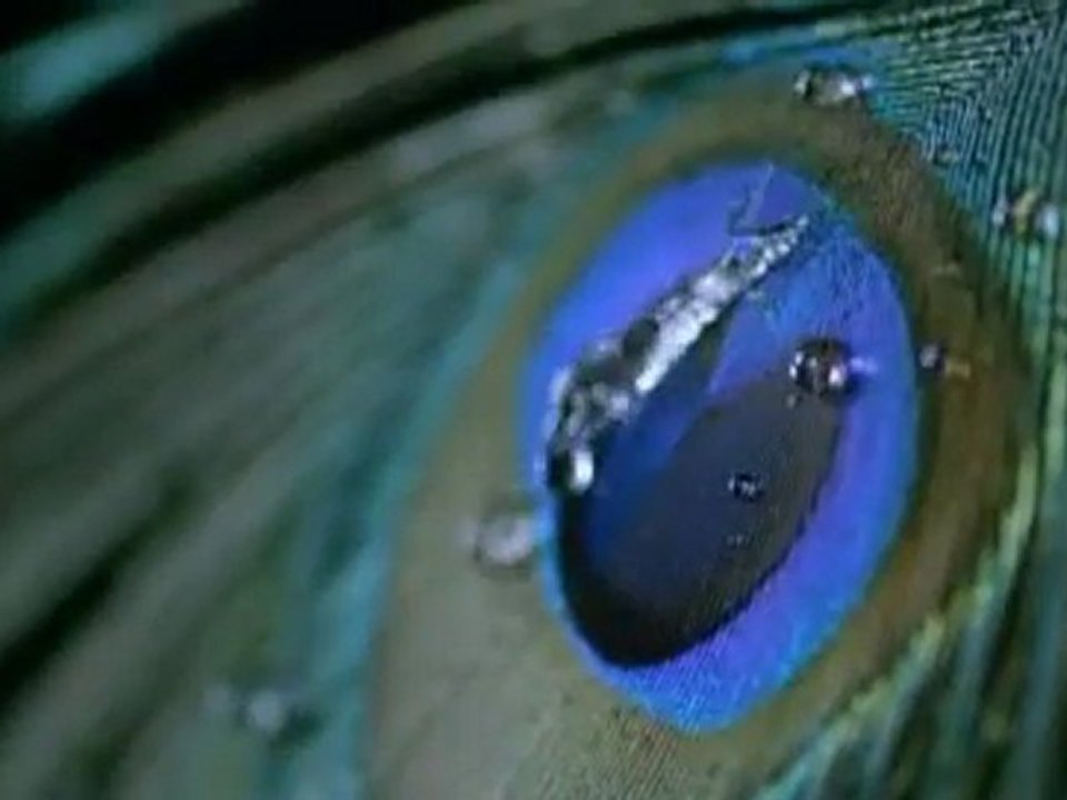 Commercial : Audio Technica (03)