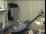 Swift Kick Destroys College Bunk Bed