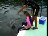Dolphin Has Sex With Woman