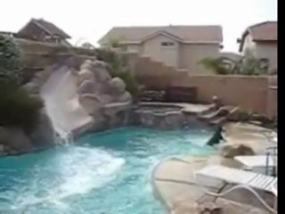 Dogs Gone Wild on the Swimming Pool Slide