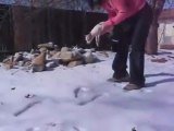 Puppy hates snow and walks on two feet