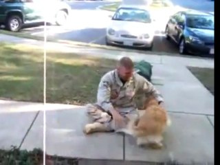 Dog Freaks Out Over Soldier&apos;s Return