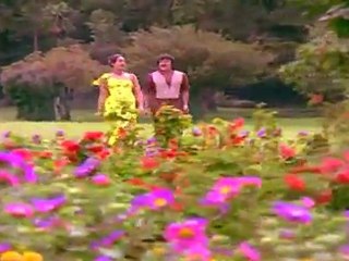 Sari Sari (Kolai Karan)