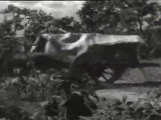 Bandhipotu Dongalu - Anr Attacks Marriage People