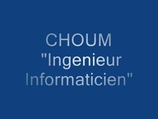 Ingenieur Informaticien