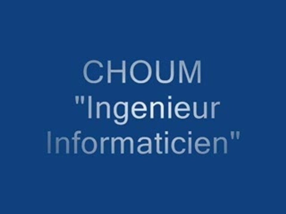 Ingenieur Informaticien