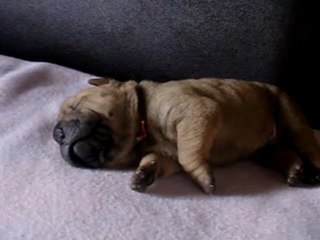 bebe collier orange 12 jours