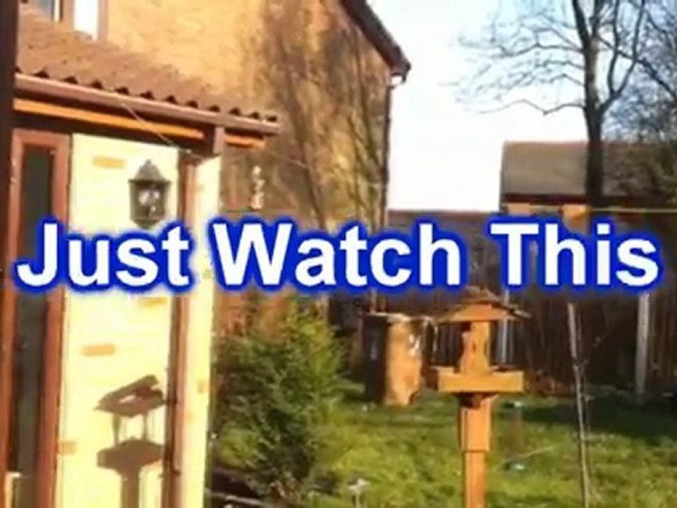 Mother - In - Law hit by Missile