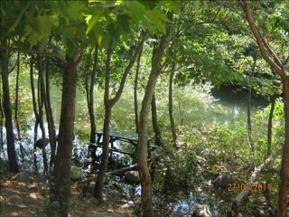 AKÇAY-ZEYTİNLİ-ARKADAŞLAR