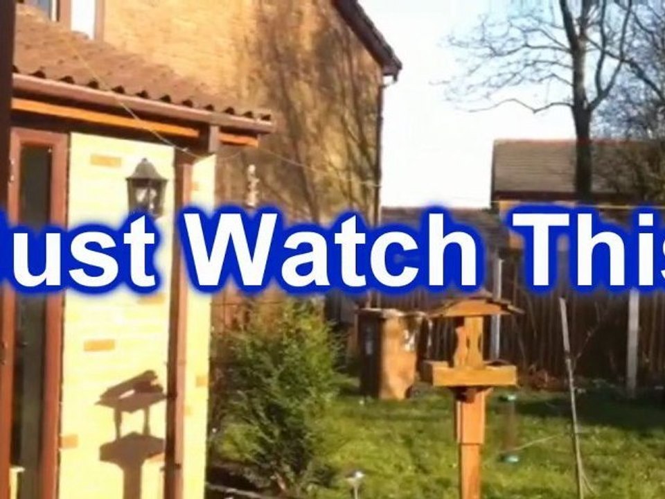 Mother - In - Law hit by Missile