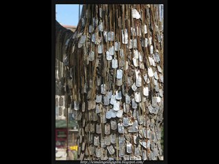 ESAT KABAKLI-GÖMDÜM OĞUL