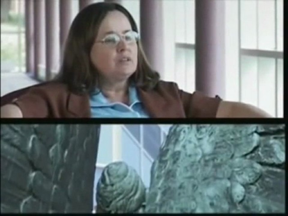 Boundless Renewal Paul Scheele