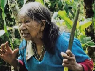 Portrait de Dominga - "Femmes du Monde" de Titouan Lamazou