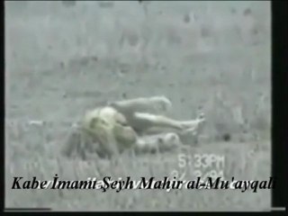 ÖLÜM ANI VE ACISI @ İBRETLİK