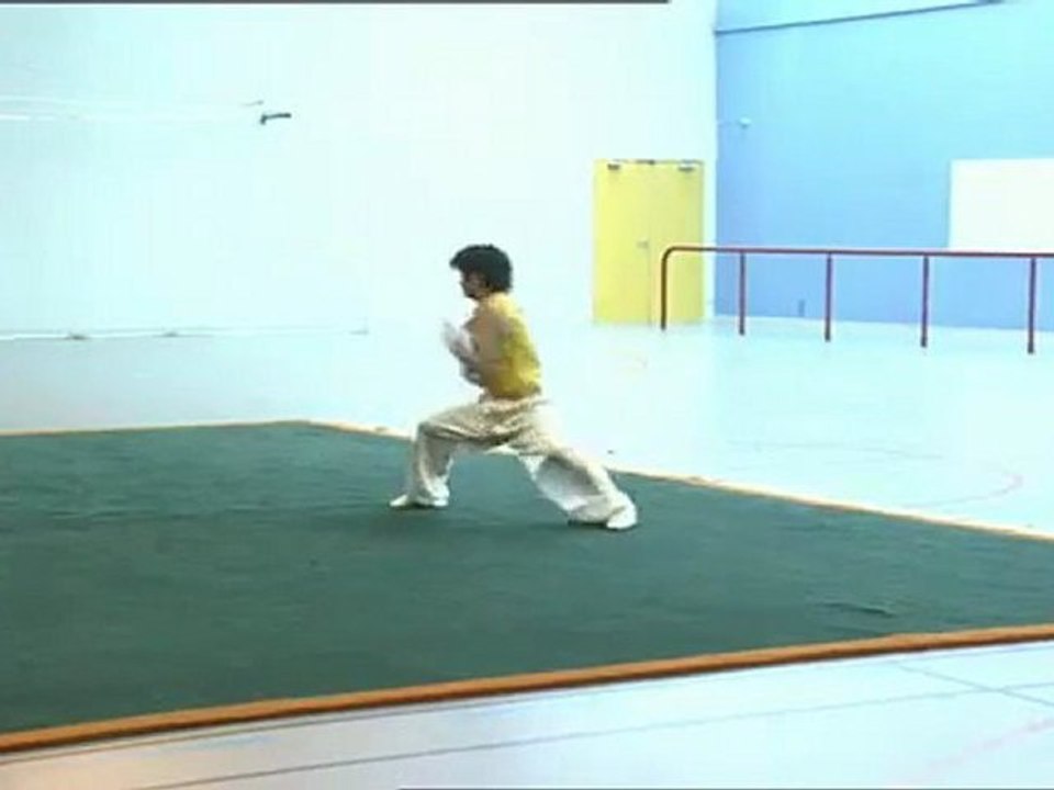 WU SHU ou mode d'emploi d'un art de vivre : le NAN QUAN