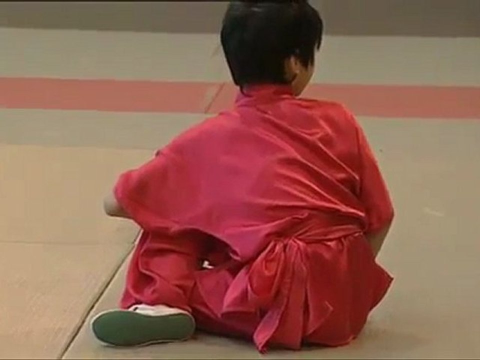 WU SHU ou mode demploi dun art de vivre_ les JI BENG GONG