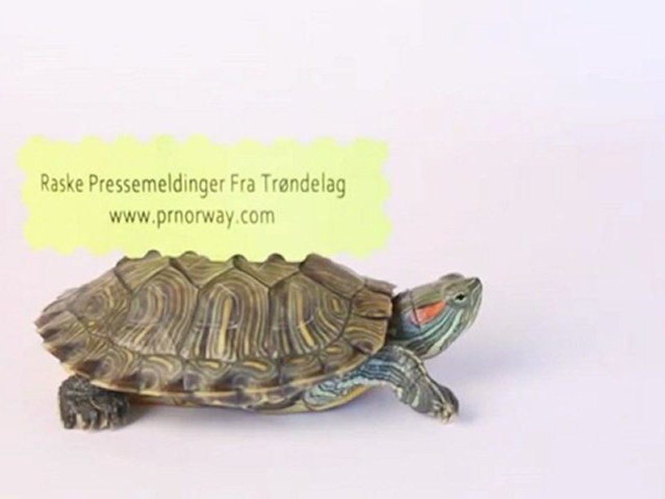 PR Norway - Super Quick Press Release Distribution on the Planet