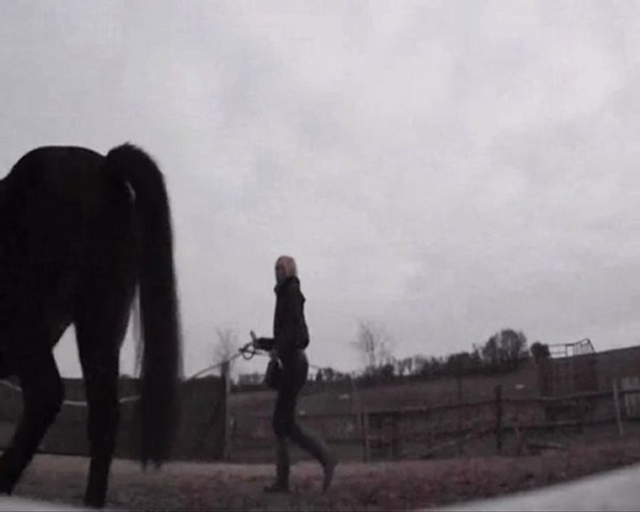 travail a pied trot + ramener