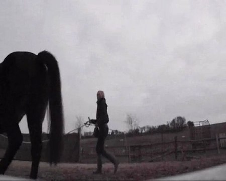 travail a pied trot + ramener