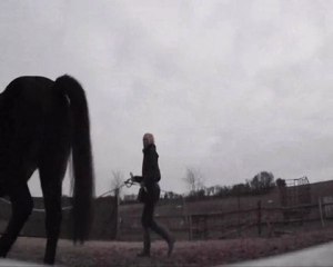 travail a pied trot + ramener