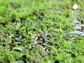 Berlin Film Festivali'nde 'çevre' krizi