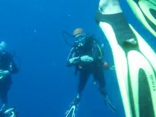 Martinique Epave du "Roraima"  Paliers de désaturation