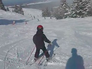 Lelex fevrier 2012