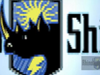 Never paint again; home painting with Rhino Shield