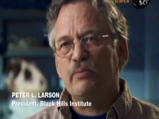 Anatomia de un dinosaurio - sobrevivientes extremos (naturaleza-dinosaurio) T0-42-27